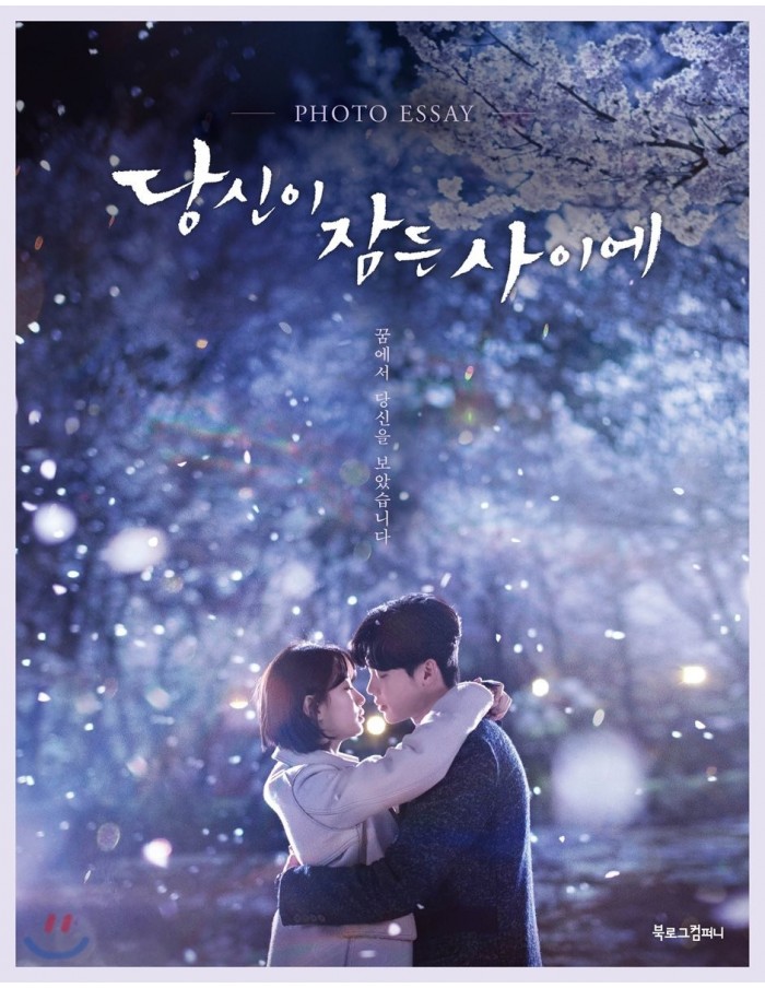 Read more about the article While You Were Sleeping | Korean Drama