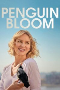 Read more about the article Penguin Bloom (2020) | Download Hollywood Movie