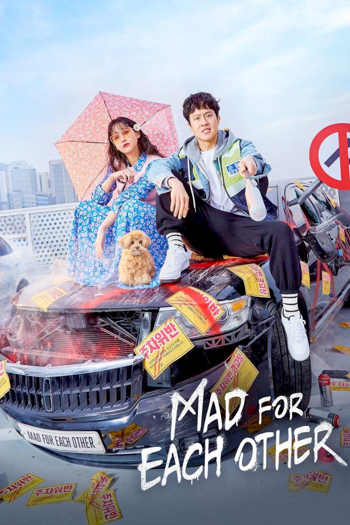 Read more about the article Mad For Each Other (Complete) | Korean Drama