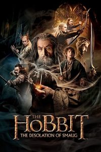 Read more about the article The Hobbit Desolation of Smaug (2013) | Download Hollywood Movie
