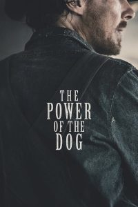 download the power of the dog hollywood movie