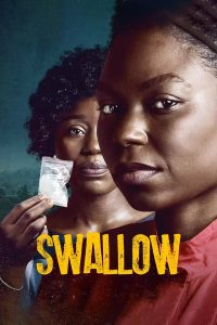 Read more about the article Swallow (2021) | Download Nollywood Movie