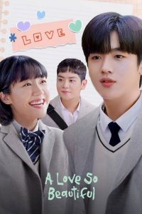 Read more about the article A Love So Beautiful (Complete) | Korean Drama