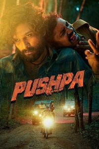 Read more about the article Pushpa: The Rise (2021) | Download Indian Movie