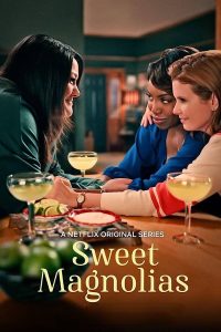 Read more about the article Sweet Magnolias S01 (Complete) | TV Series