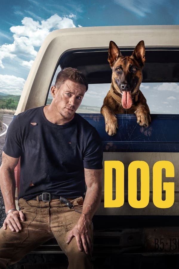 download dog hollywood movie