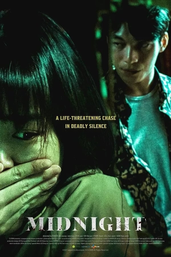 Read more about the article Midnight (2021) | Download Korean Movie