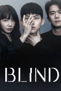 download blind korean drama