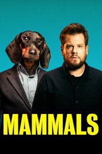 download mammals hollywood series