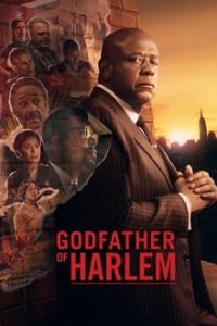 Read more about the article Godfather of Harlem S03 (Complete) | TV Series