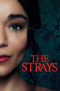 download the strays hollywood movie