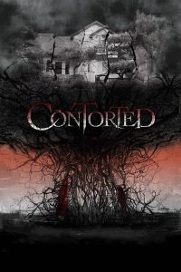 download contorted hollywood movie