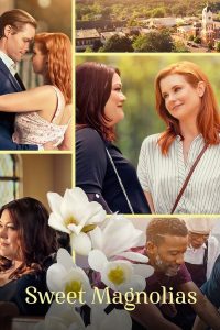 Read more about the article Sweet Magnolias S03 (Complete) | TV Series