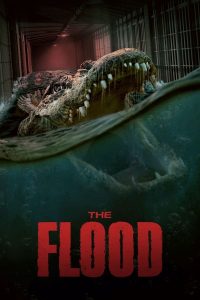 download the flood hollywood movie