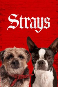 Read more about the article Strays (2023) | Download Hollywood Movie
