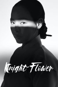 download knight flower korean drama