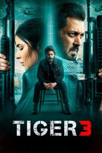 Read more about the article Tiger 3 (2023) | Download Indian Movie