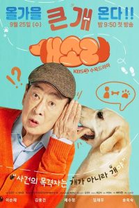 download dog knows everything korean drama