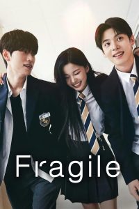 Read more about the article Fragile S01 (Episode 1 Added) | Korean Drama