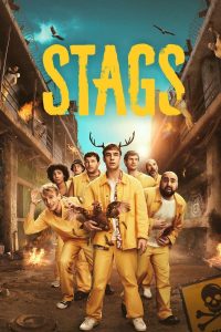 download stags hollywood series