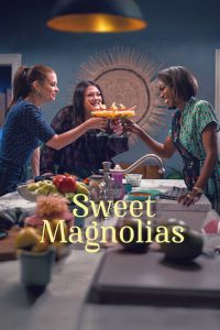 Read more about the article Sweet Magnolias S04 (Complete) | TV Series