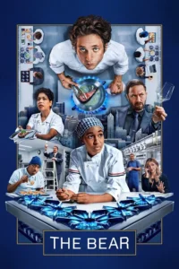 download the bear hollywood series