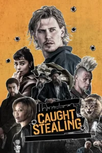 download caught stealing hollywood movie